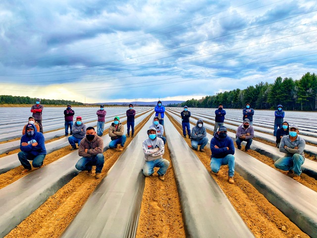 Tests de dépistage pour les travailleurs étrangers : La Fédération de l’UPA de la Montéégie éclame une éduction des délais
