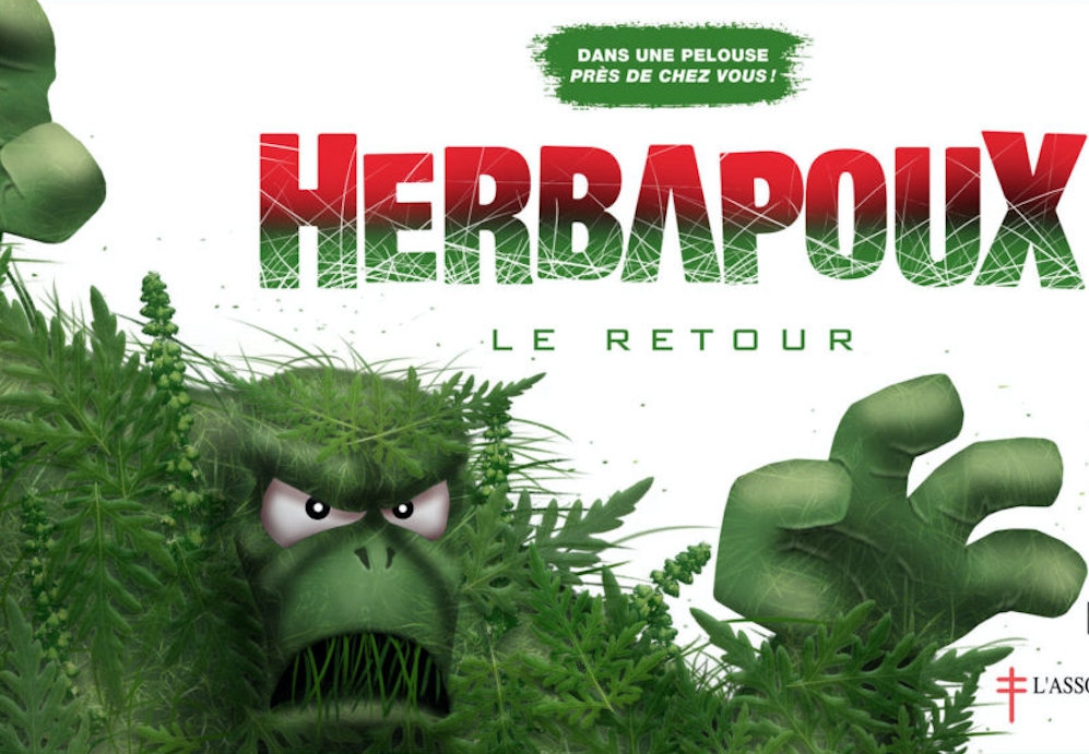 L’herbe à poux provoque une éaction allergique respiratoire qui affecte un Québécois sur huit