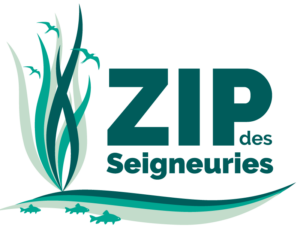 Un projet de caractérisation des bandes riveraines de l’île Bouchard appuyé par le Programme d’interaction communautaire