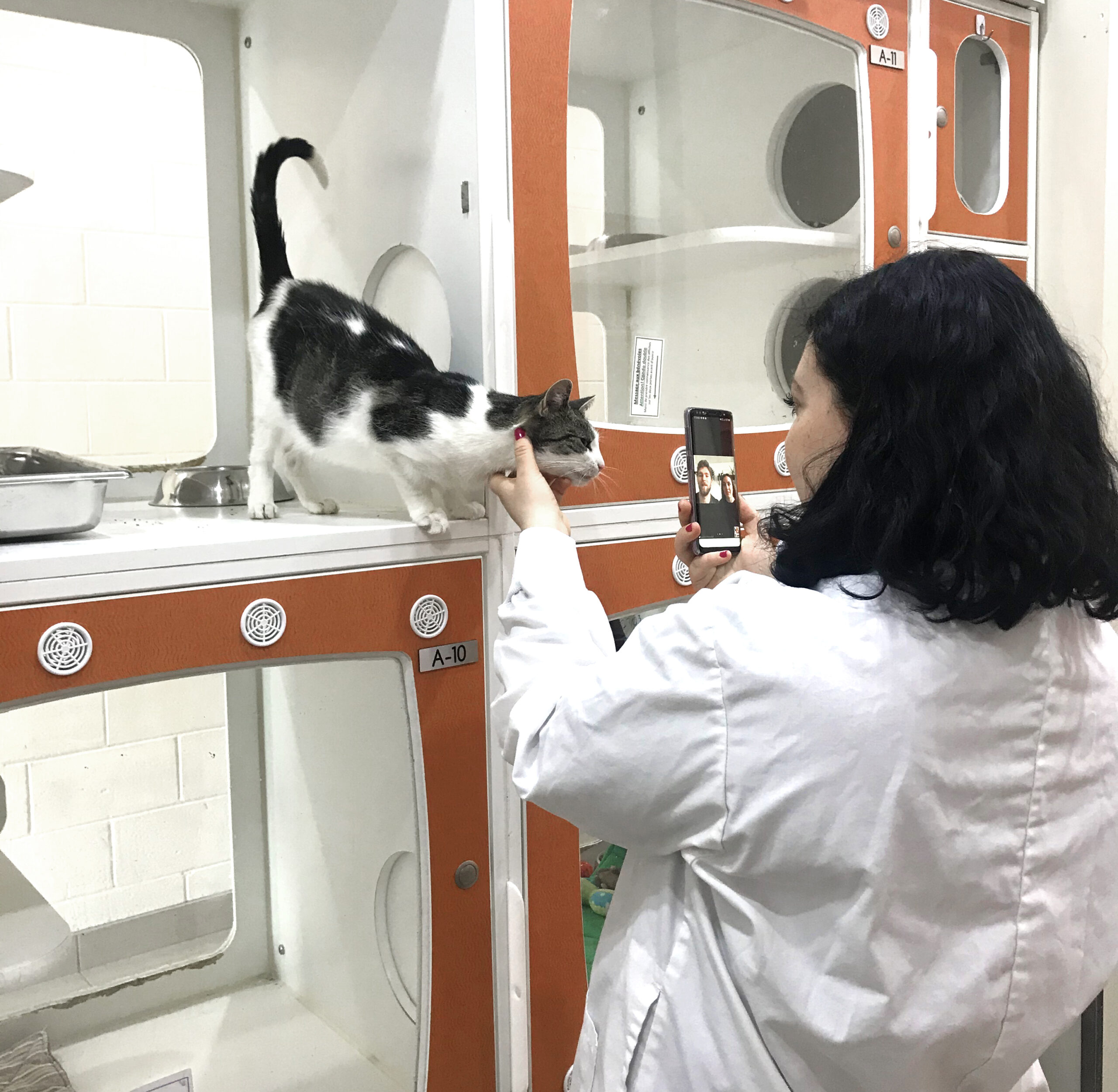 Proanima propose l’adoption virtuelle