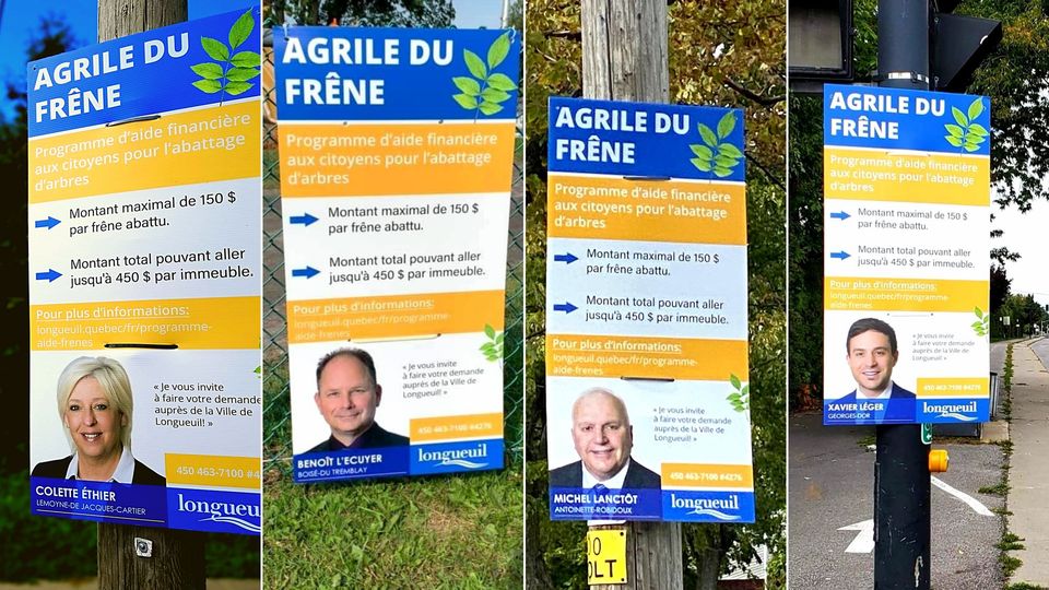 Agrile du frêne : une campagne d’information aux allures électorales
