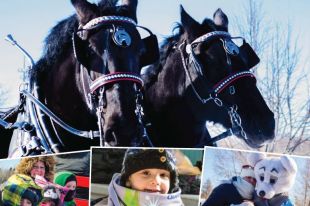 Le 7 février 2016 c&rsquo;est la grande fête d’hiver au parc Le Rocher de Saint-Amable