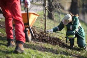Emplois d’été : La municipalité de Saint-Amable recrute