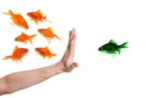 Varennes s’engage à joindre la Coalition canadienne des municipalités contre le racisme et la discrimination