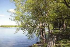 La soirée d&rsquo;information du BAPE attire une cinquantaine de citoyens