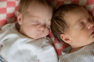 Programme une naissance un arbre pour les bébés nés en 2013, 2014 et 2015