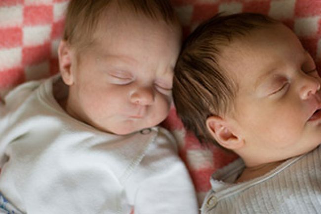 Programme une naissance un arbre pour les bébés nés en 2013, 2014 et 2015