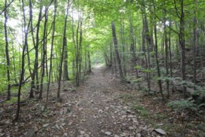 Deuxième phase des travaux d’accès direct au Mont-Saint-Bruno à Sainte-Julie