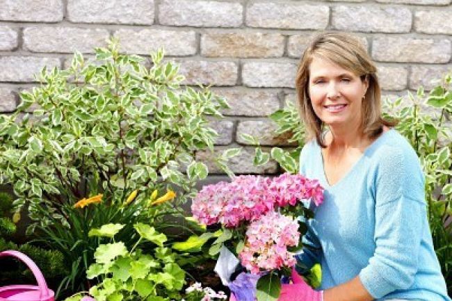 Faire fleurir les initiatives pour embellir Sainte-Julie!
