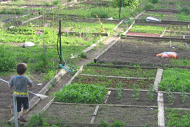 Un peu plus d’agriculture urbaine cet été à Boucherville