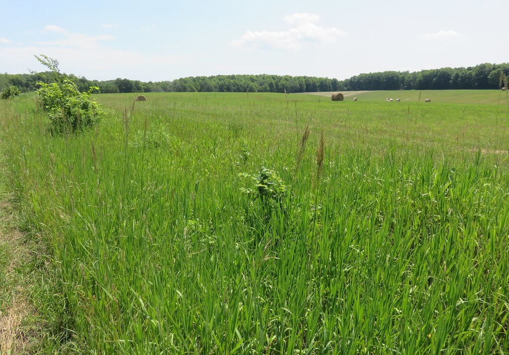 Des agriculteurs de Varennes et Boucherville honorés par l’UPA
