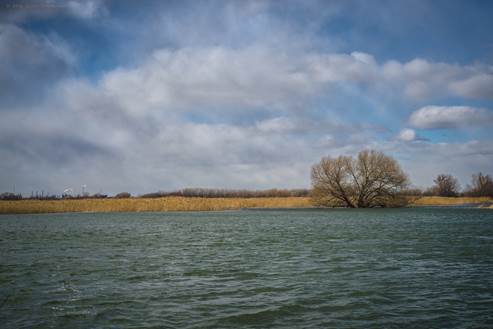 Le député Barsalou-Duval demande de céder les battures Tailhandier au parc des Îles-de-Boucherville