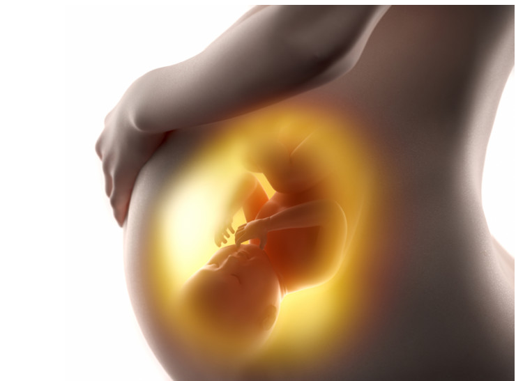 Don de 20 000 $ à la Fondation de l’Hôpital Charles-LeMoyne