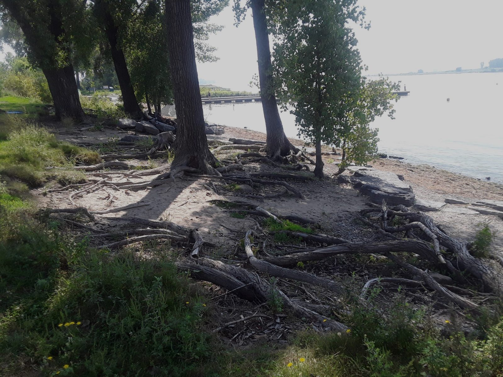 Des travaux d’urgence pour sauver les berges du parc de la Commune à Varennes