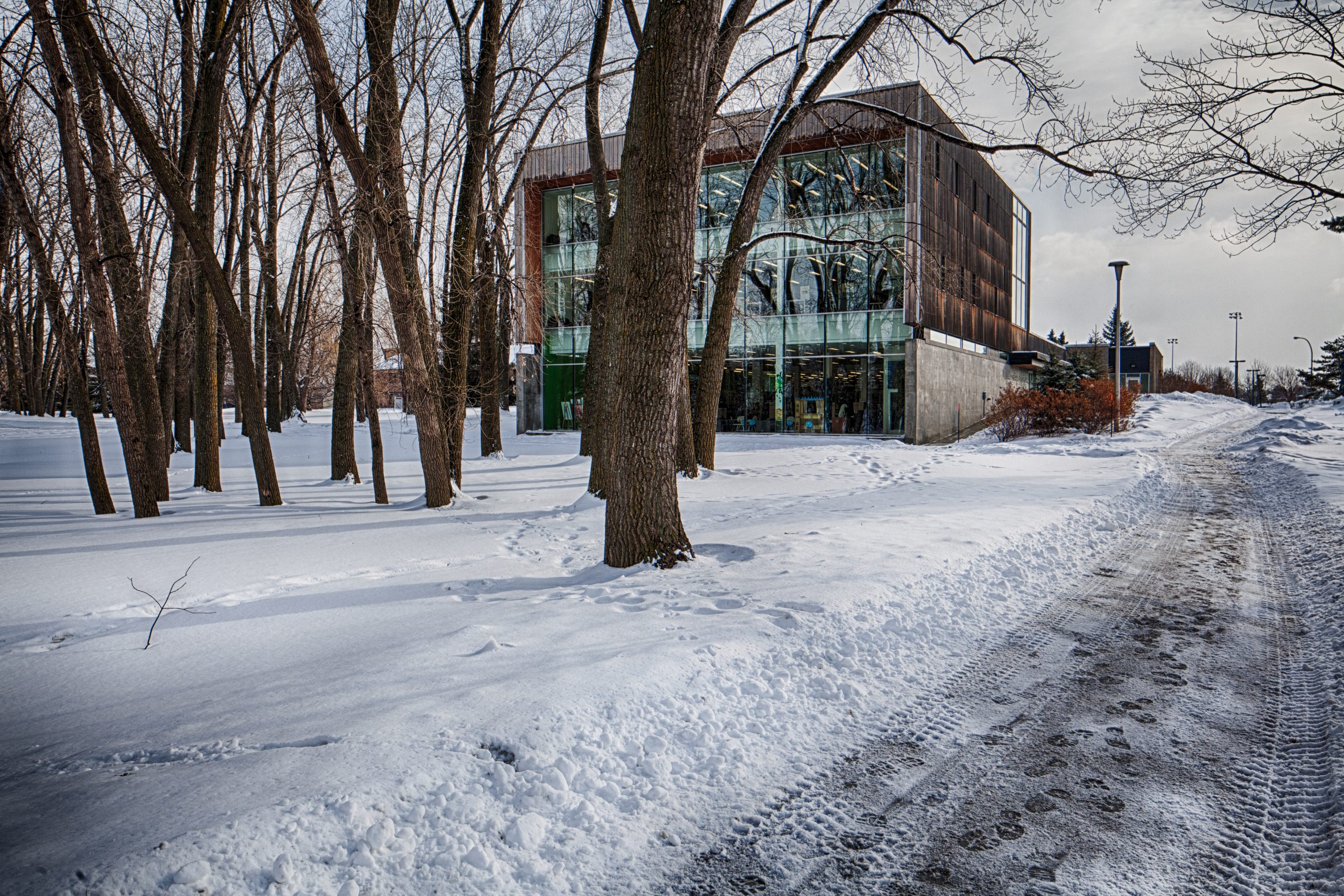 La bibliothèque Montarville-Boucher-De La Bruère poursuit son déconfinement