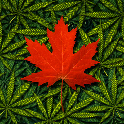 Légalisation du cannabis : Contrecœur interdit la consommation dans les lieux publics