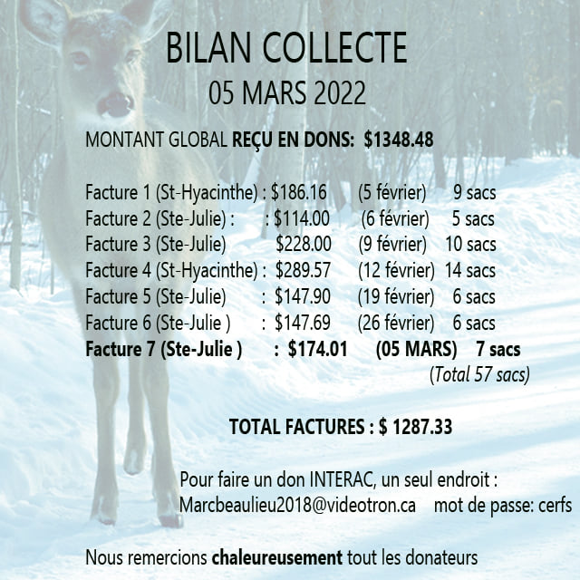 Contravention de 100 $ pour avoir nourri les cerfs du parc Michel-Chartrand