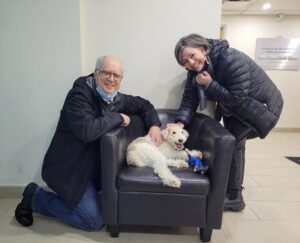 300 jours après sa disparition, un chien est retrouvé par ses maîtres