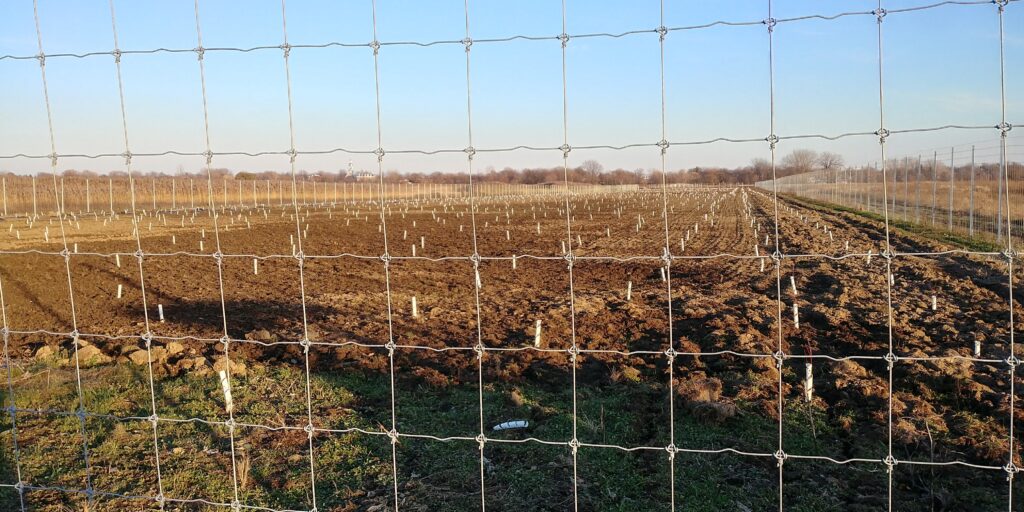 Travaux en cours au parc des Îles-de-Boucherville