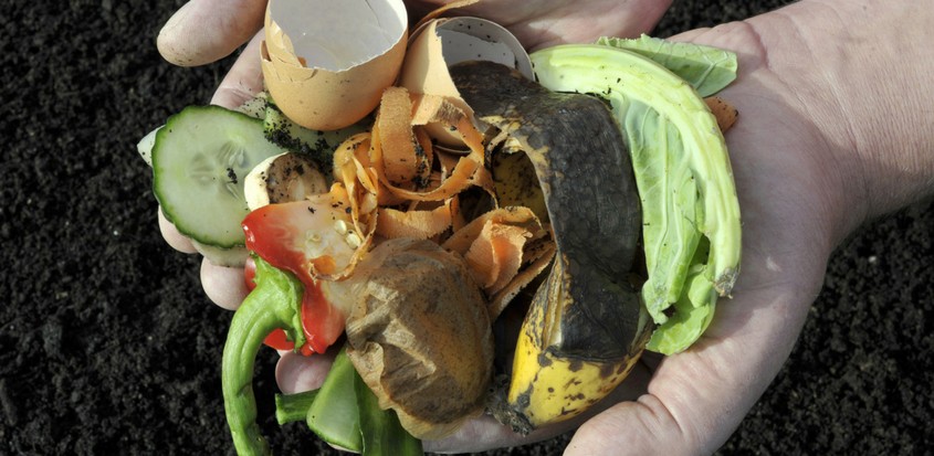 Longueuil va de l’avant avec trois initiatives en matière d’environnement