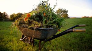 La collecte de ésidus verts débute le jeudi 23 avril!