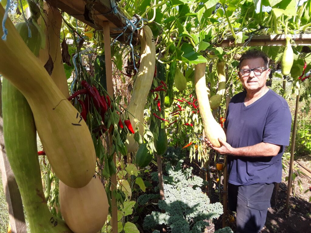 Des paniers de légumes calabrais pour 25 familles de Boucherville