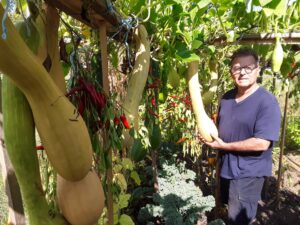 Des paniers de légumes calabrais pour 25 familles de Boucherville