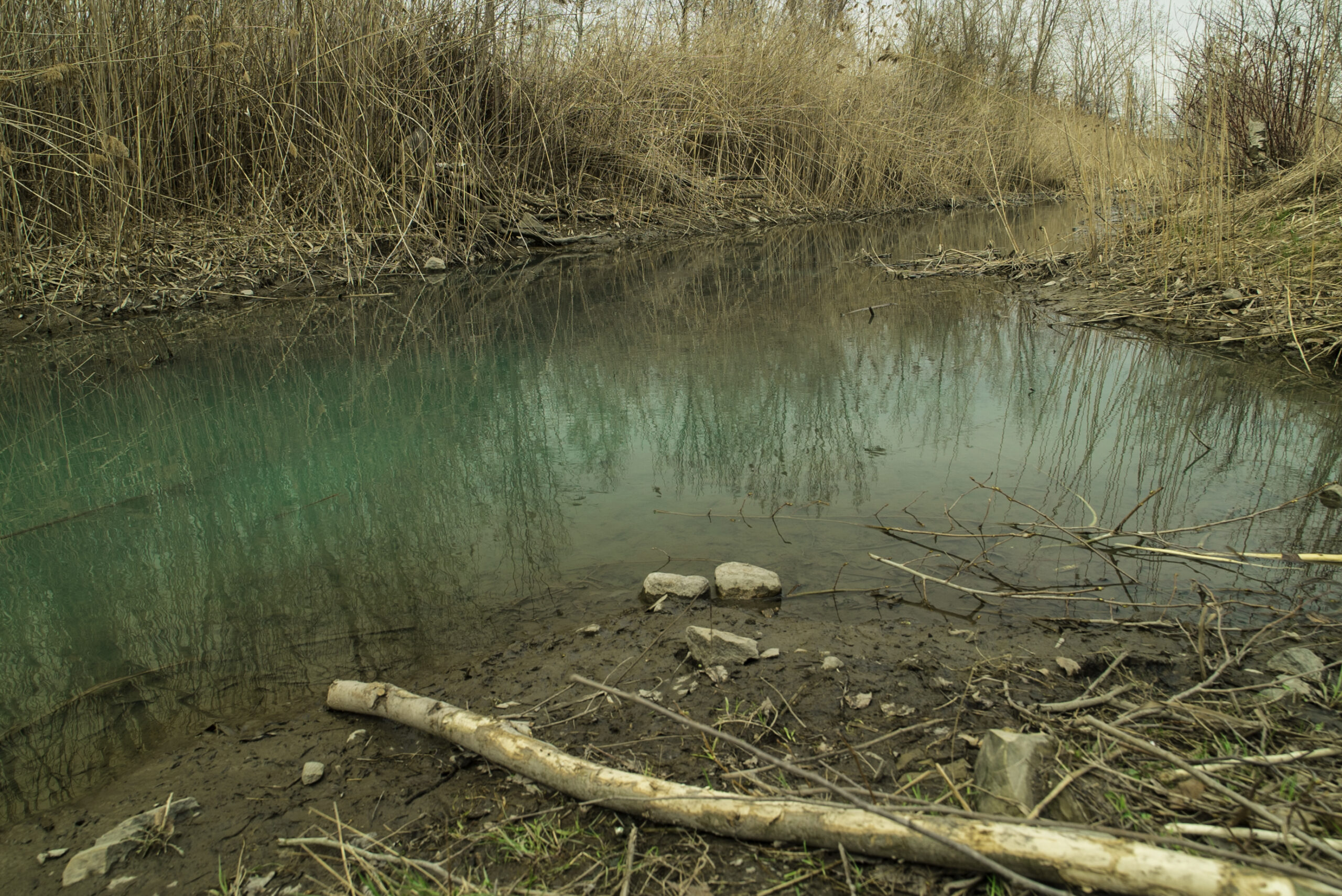 Déversement dans le ruisseau qui traverse le boisé du Tremblay