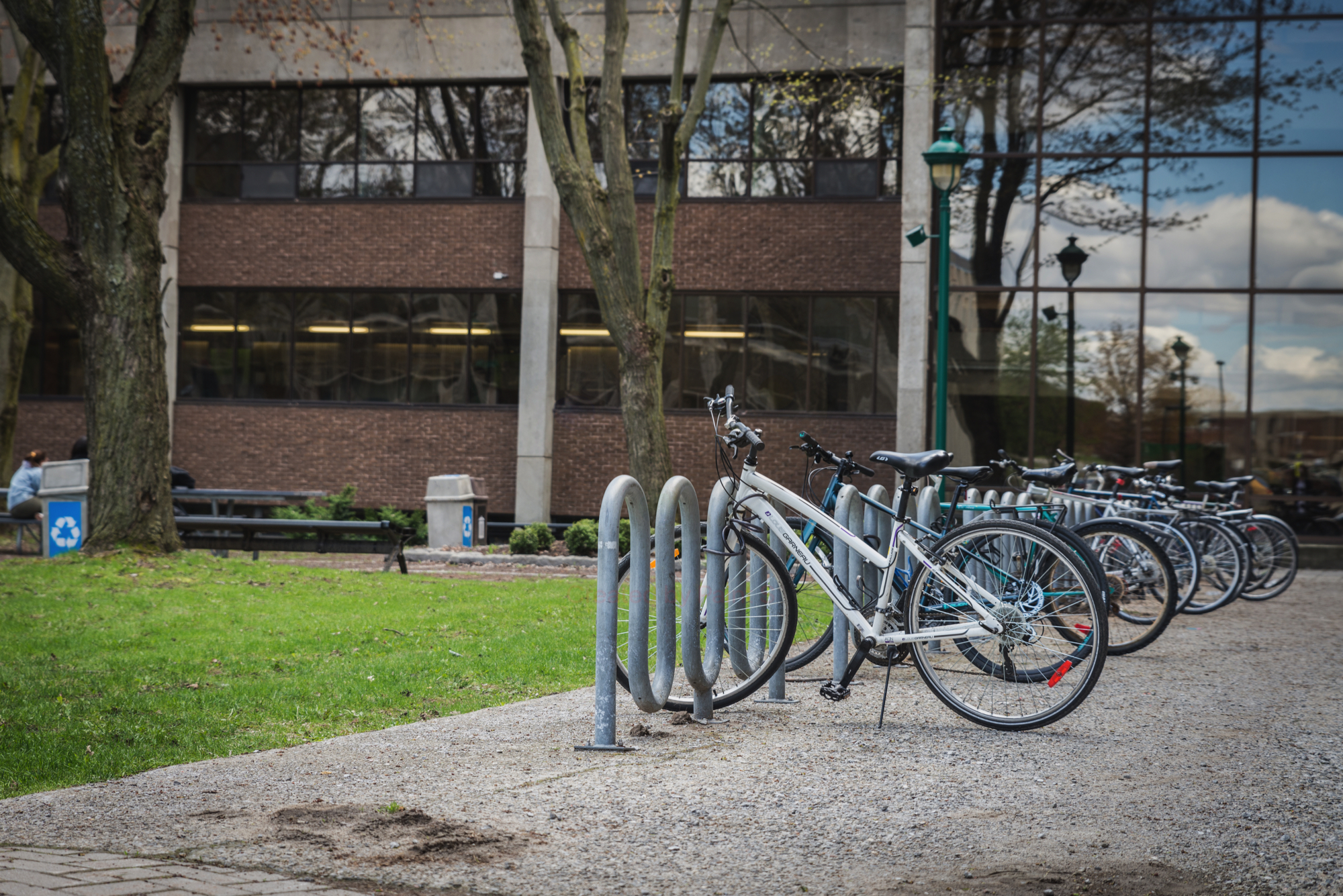 Le Cégep Édouard-Montpetit est « Vélosympathique OR »
