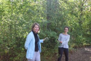 Le CRE déclare la guerre aux espèces exotiques envahissantes