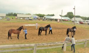 La 139e expo agricole de Calixa-Lavallée attire plus de 4000 visiteurs