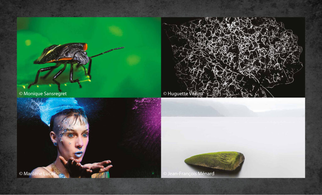 Une expo photo virtuelle… en temps de pandémie