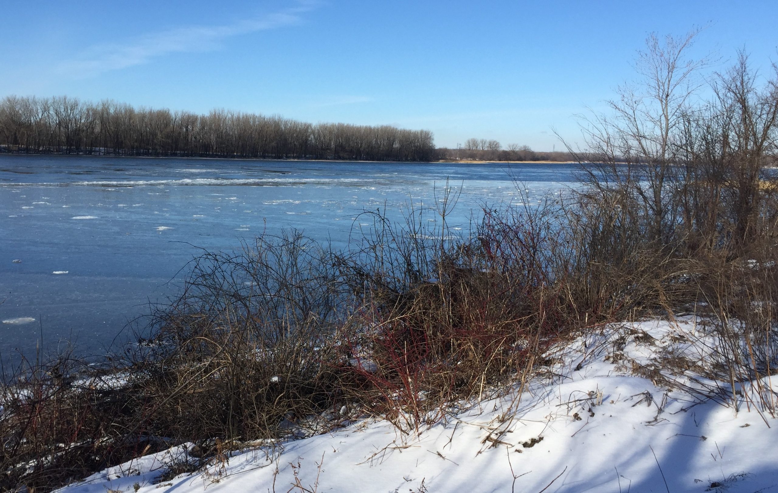 Un statut juridique pour le fleuve