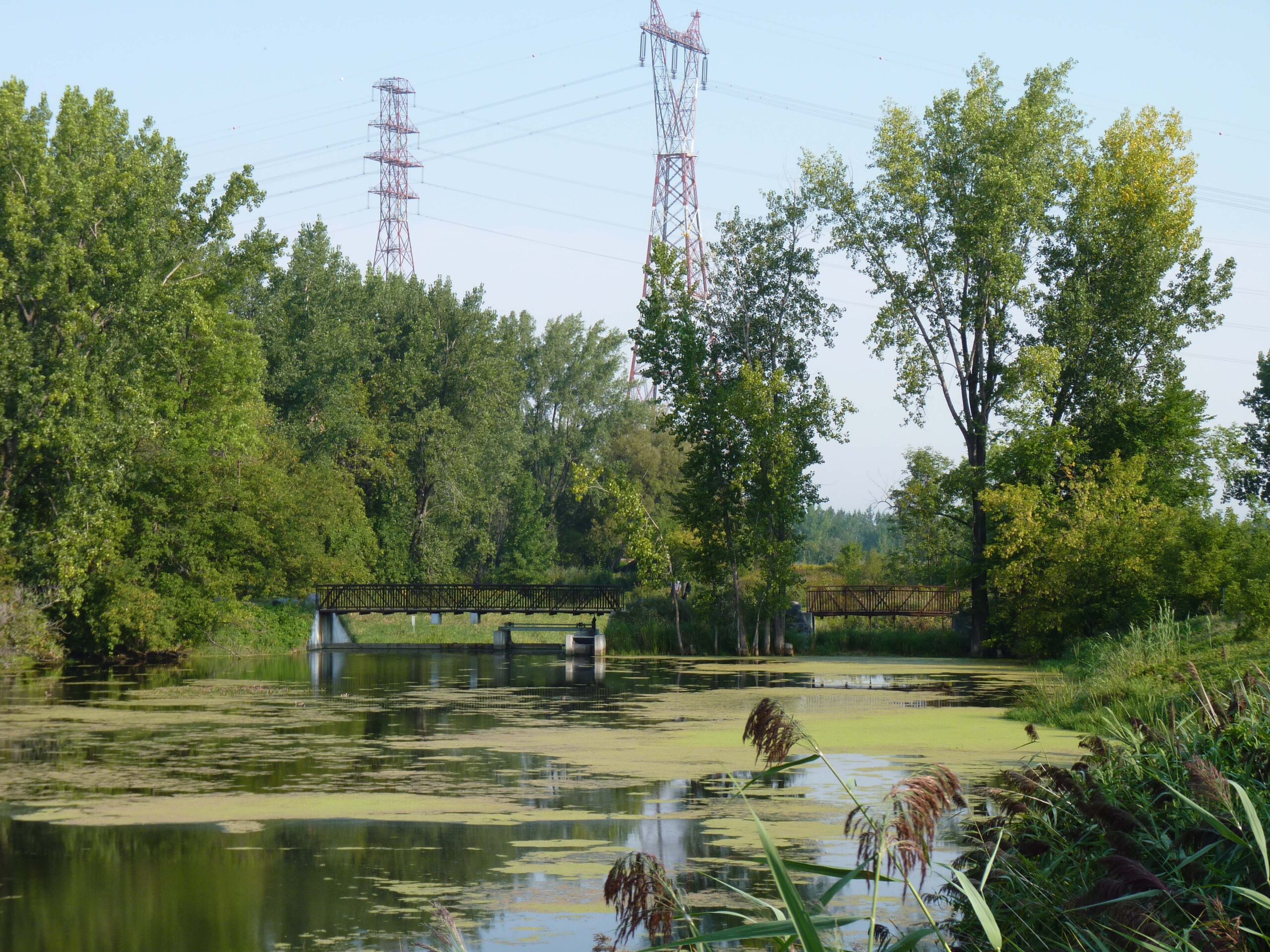 À la découverte du parc de la Frayère le samedi 12 mai