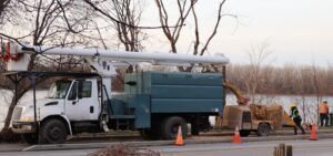 Boucherville abat 300 frênes