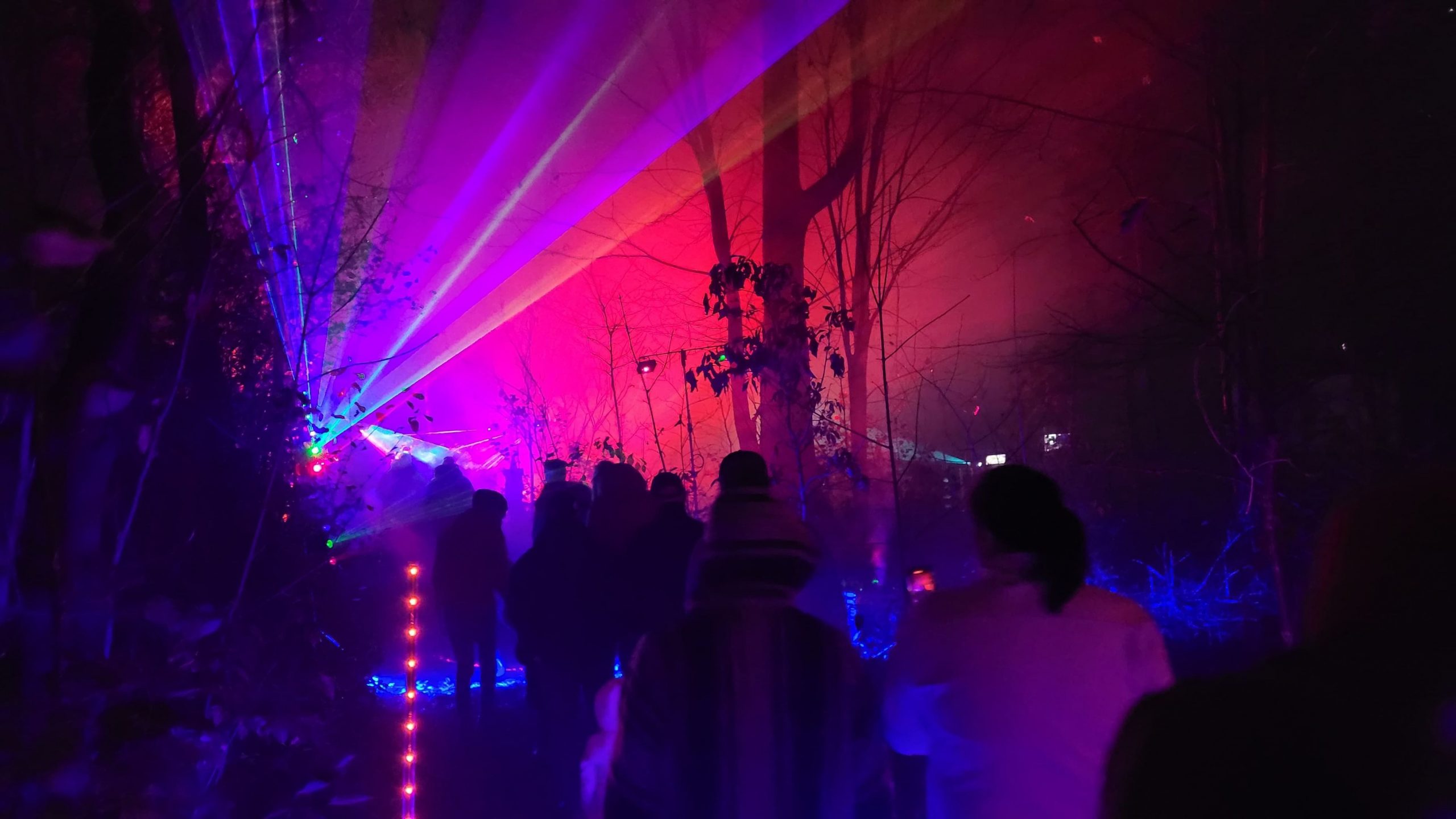 3500 visiteurs en 3 heures : des frissons aux frimousses !