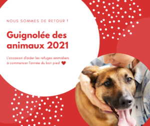 Une guignolée pour les animaux