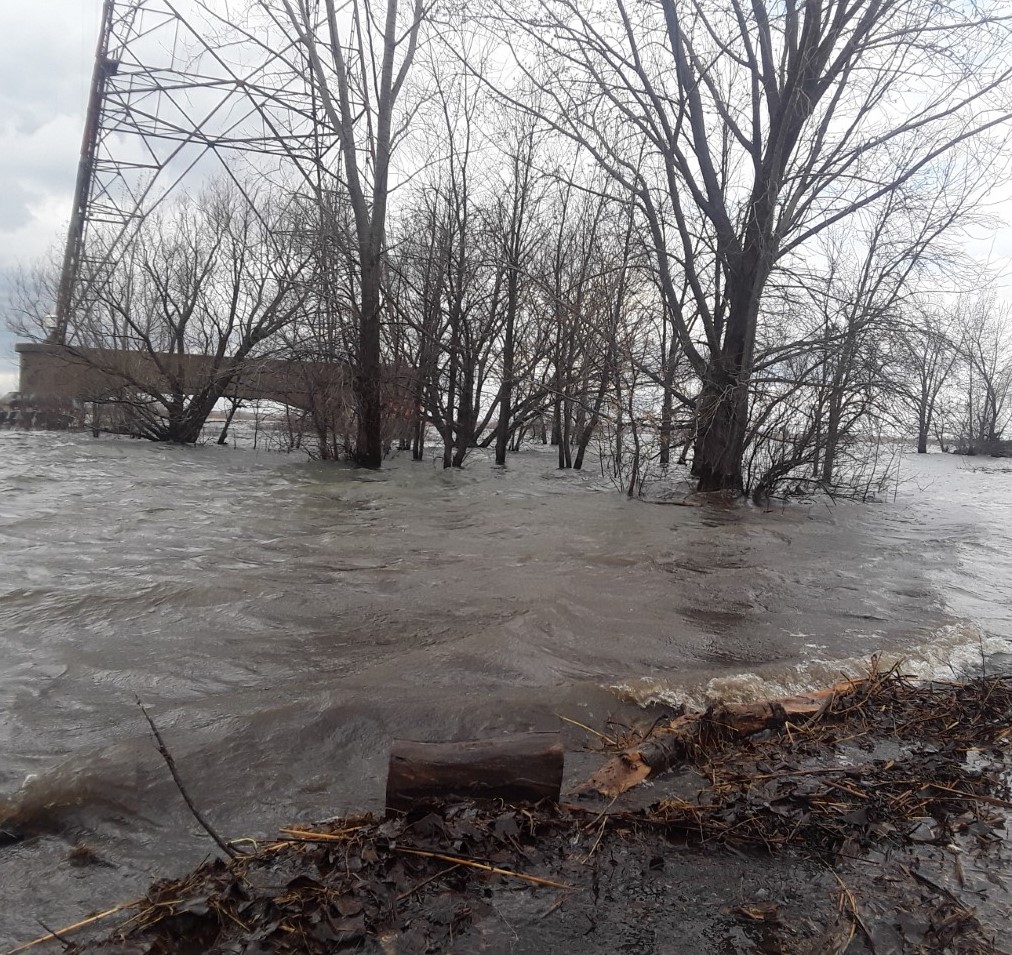 Boisé sous l’eau à Boucherville