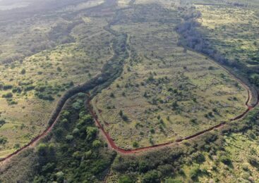 Deux nouveaux contrats à Hawaï pour une entreprise de la Rive-Sud