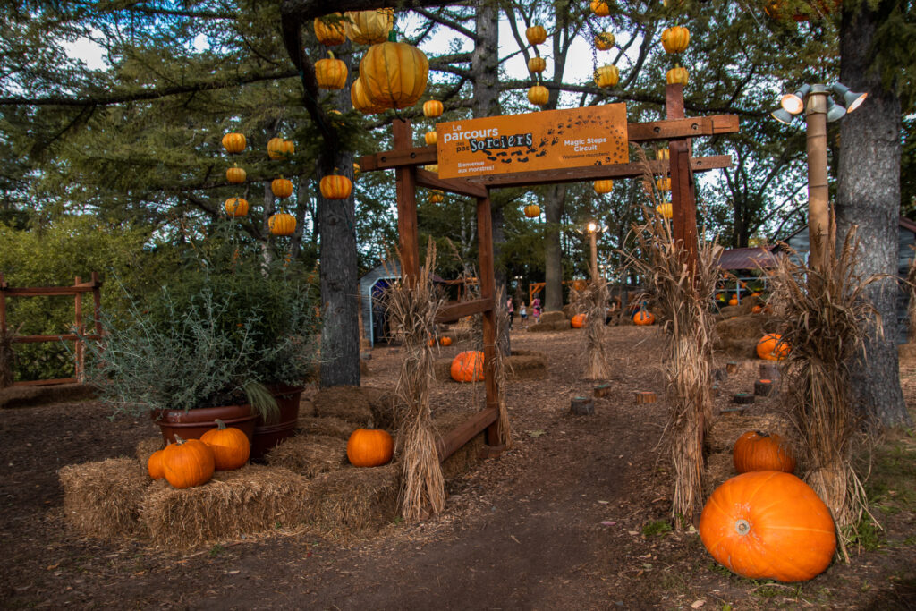 Trouille et citrouilles… parce qu’on aime l’Halloween !