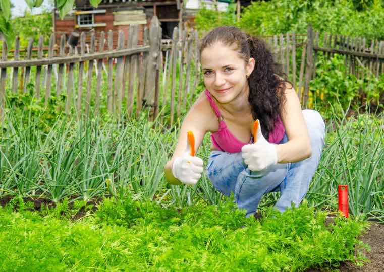 Projet de jardin collectif à Saint-Amable : appel à tous pour des dons d’outils et de matériaux