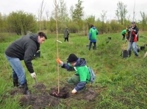 950 arbres seront distribués aux citoyens de Longueuil  lors de la Journée verte