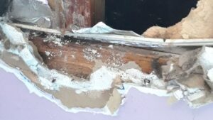 L’état de logements sociaux à Saint-Amable inquiète ses locataires