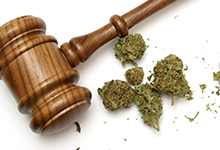 Cannabis: le statu quo n’est pas une option souhaitable estiment les directeurs de  santé publique du Québec