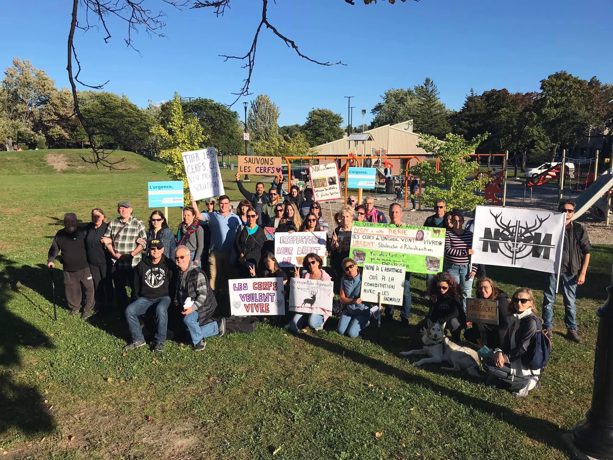 Parc Michel-Chartrand de Longueuil: La Cour reconduit l&rsquo;interdiction d&rsquo;abattre les cerfs