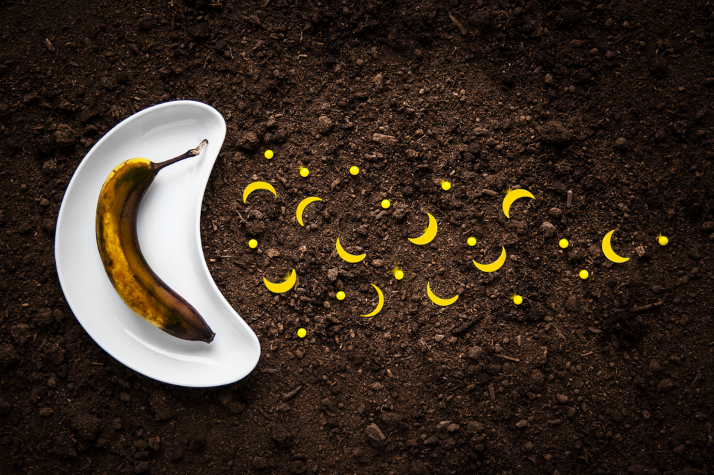 La Galerie Jean-Letarte présente l’exposition Les moches de l’artiste Marilène Lucas