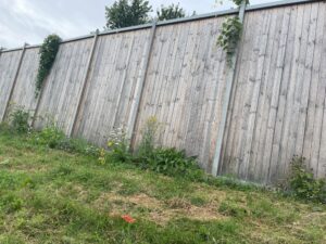 Un mur antibruit de 3 M$ sera construit sur le boulevard Industriel