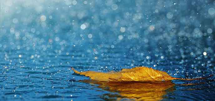 D&rsquo;importantes quantités de pluie attendues