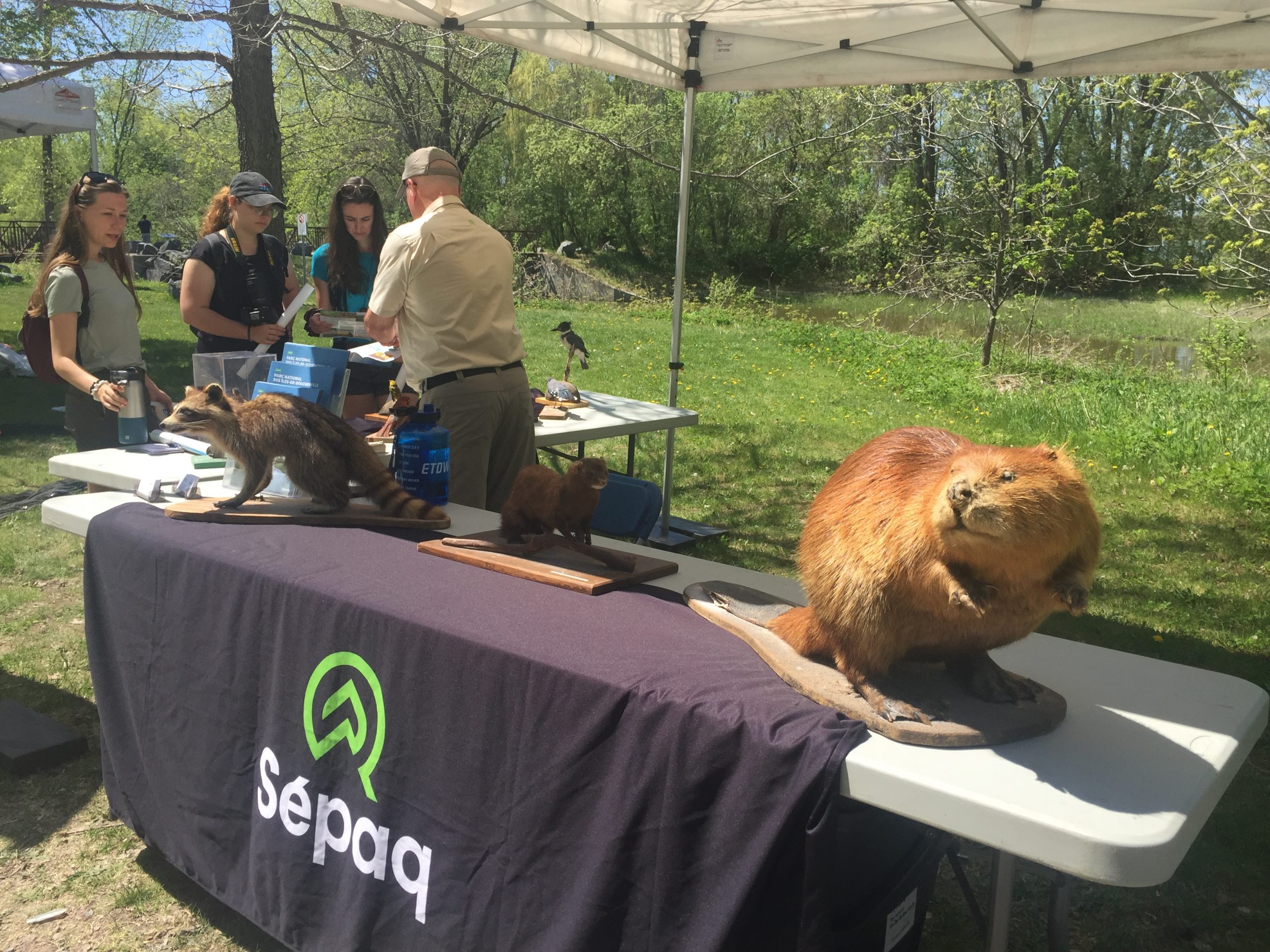 Se reconnecter avec la nature au parc de la Frayère