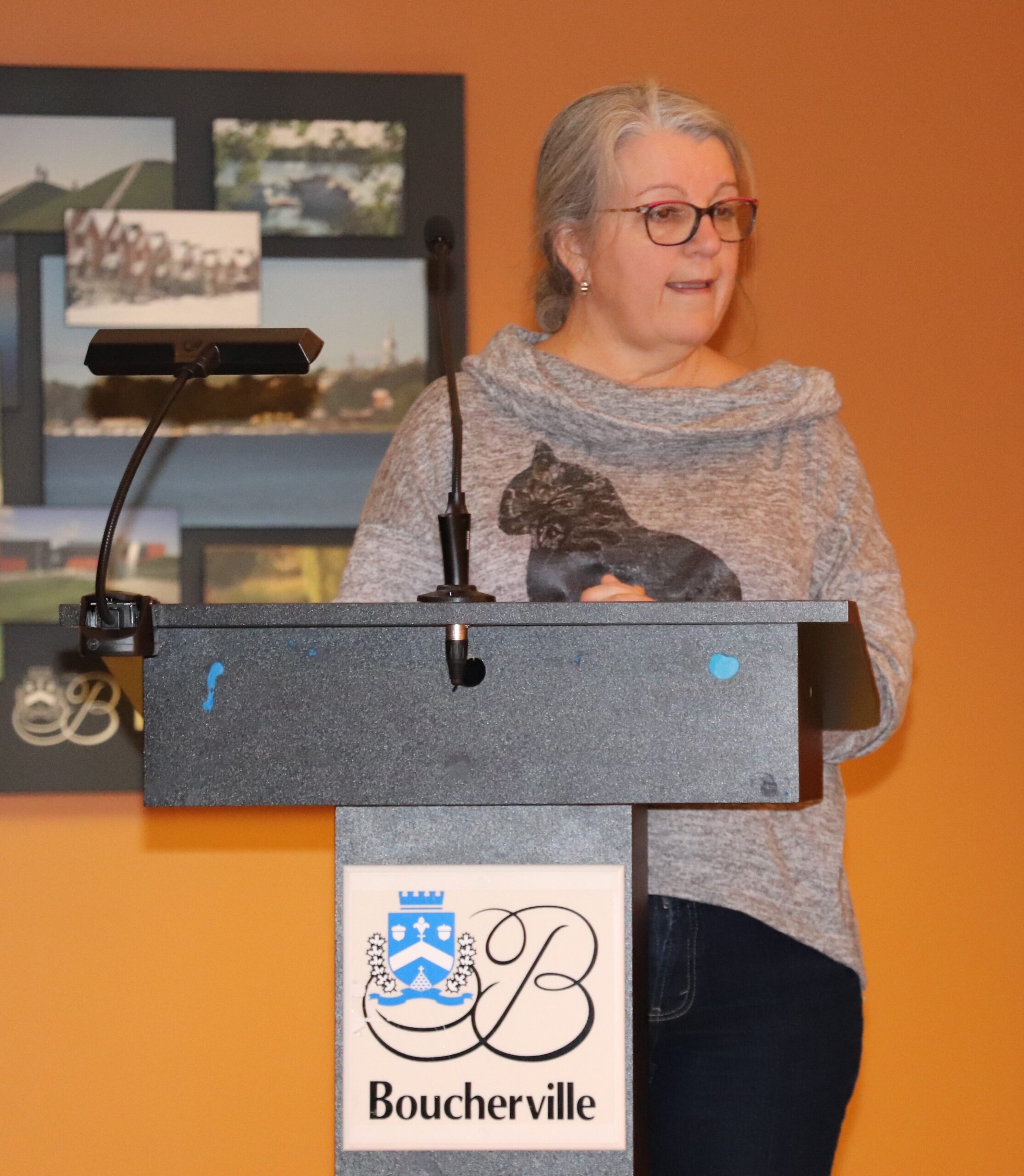 Pétition pour limiter le trafic aérien au-dessus de Boucherville